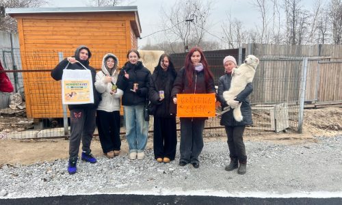 Благотворительная акция «Коробка добра»