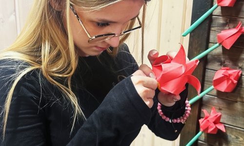 Областная акция «Красный тюльпан»