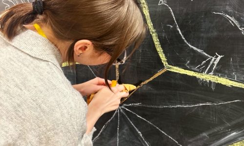 Областная акция «Красный тюльпан»