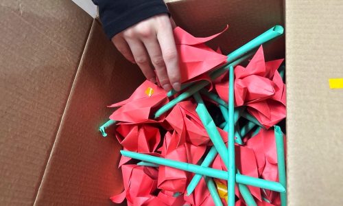 Областная акция «Красный тюльпан»